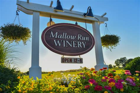 Mallow run - Visit Mallow Run Winery, nestled on a family farm in Bargersville, IN. Relax in our cozy and rustic tasting room, or sip wine in the sunshine on the deck. Spread out a blanket on the lawn and enjoy one of our many outdoor concerts in the summer. Where to Find Us. 6964 W Whiteland Rd.